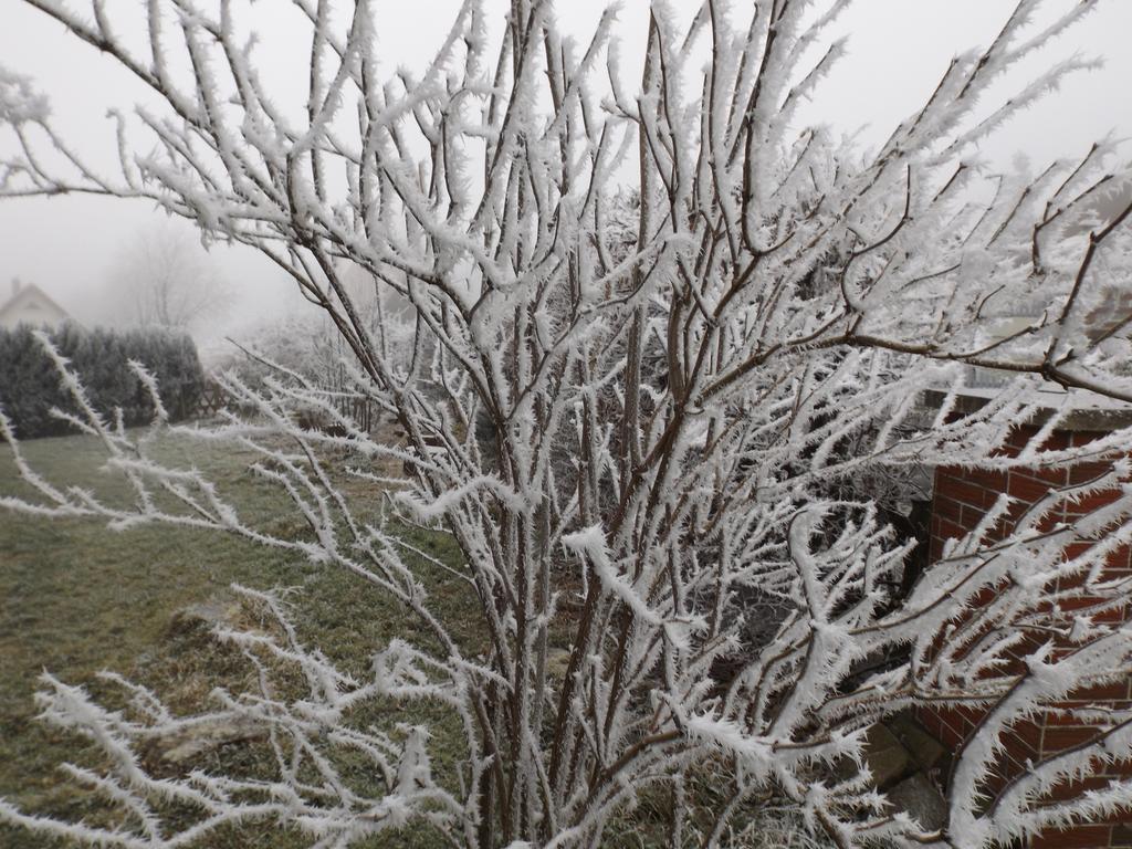 Premium-Ferienwohnungen Bergblick Im Haus Hopfe Goslar Zewnętrze zdjęcie