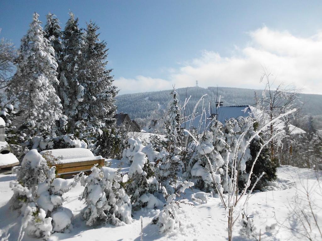 Premium-Ferienwohnungen Bergblick Im Haus Hopfe Goslar Zewnętrze zdjęcie