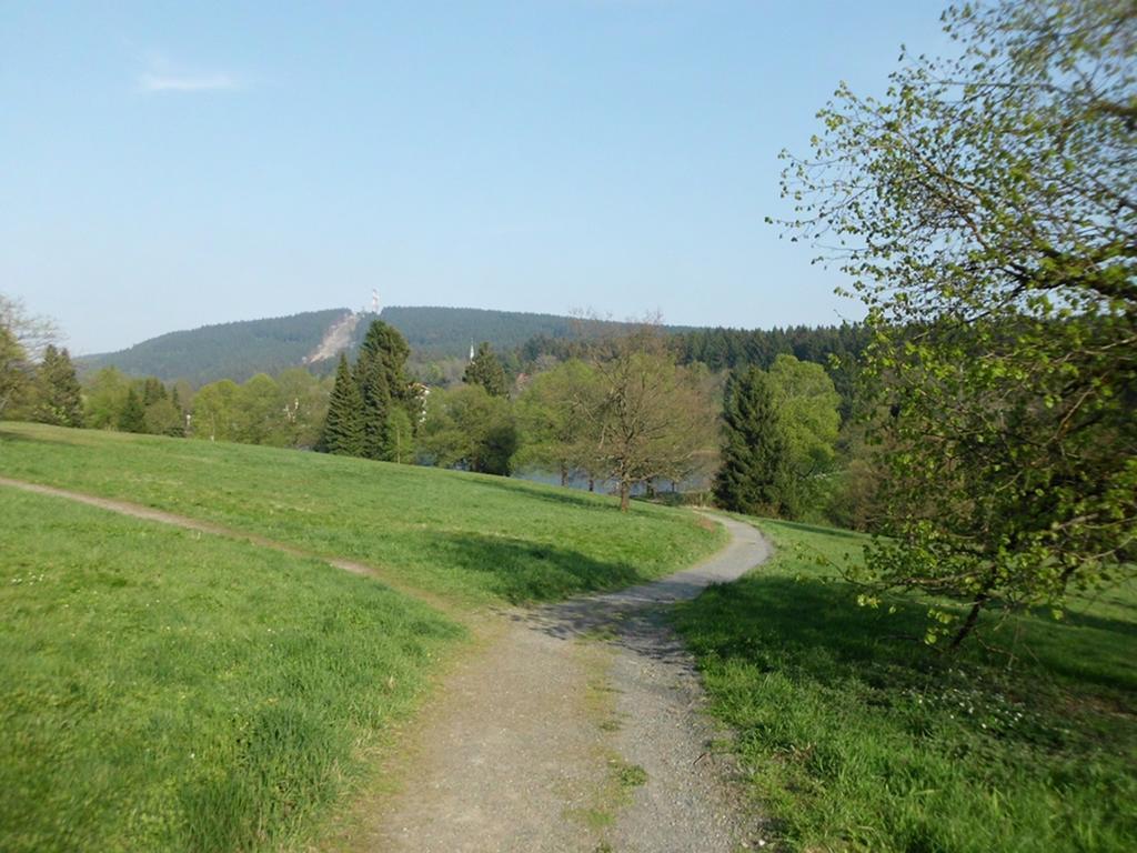 Premium-Ferienwohnungen Bergblick Im Haus Hopfe Goslar Zewnętrze zdjęcie