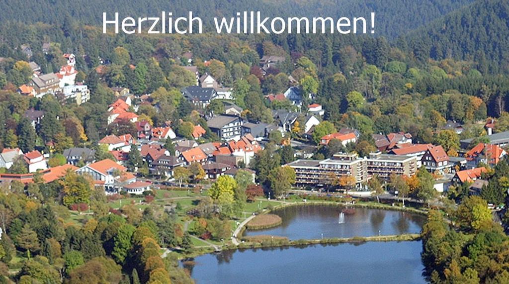Premium-Ferienwohnungen Bergblick Im Haus Hopfe Goslar Zewnętrze zdjęcie